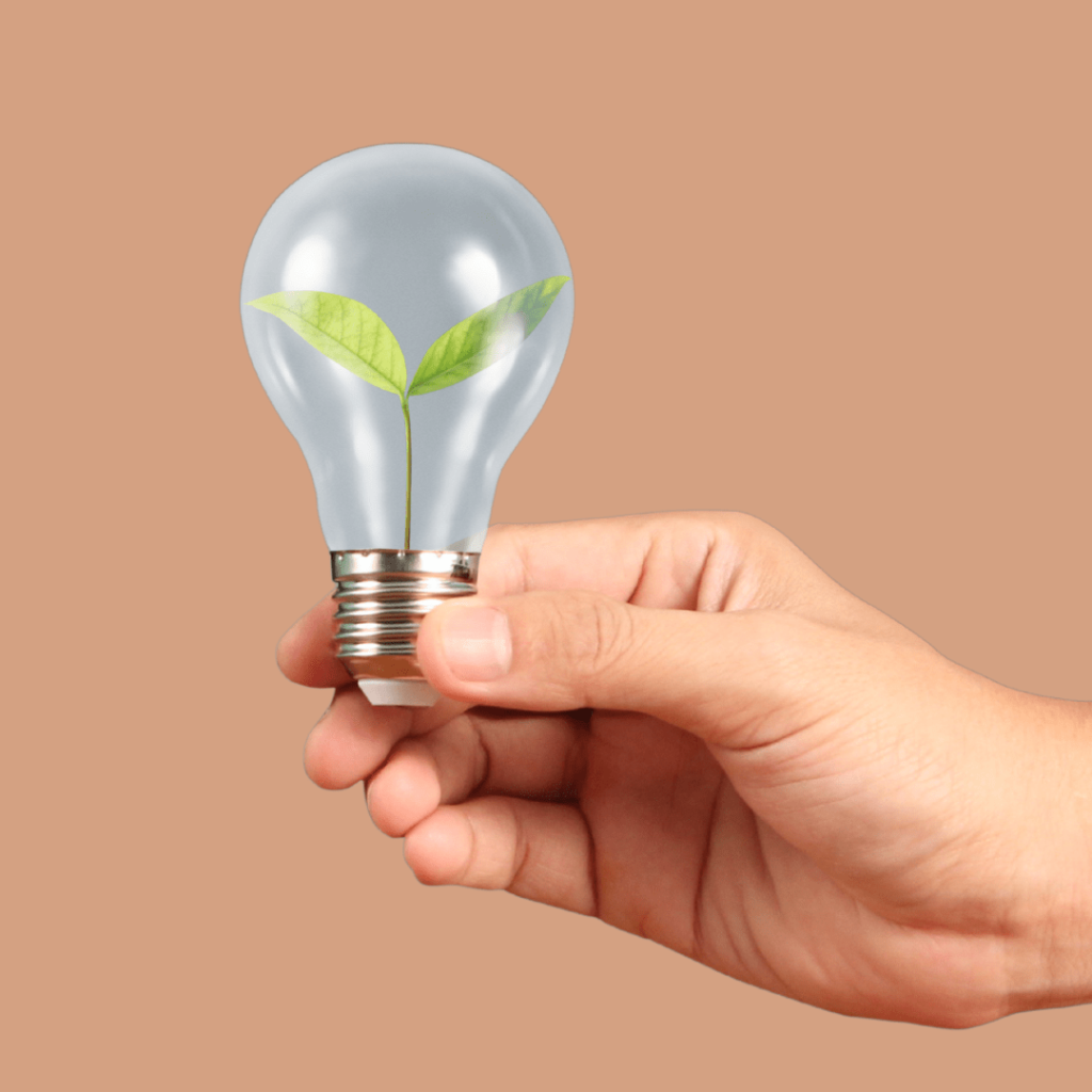 Innovation 1